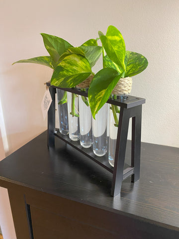 5 Tube Propagation Planter